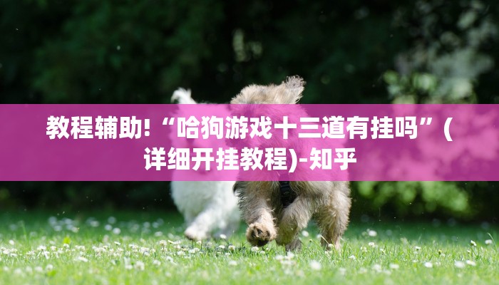 重磅揭秘“打哈儿麻将到底有没有挂”(原来确实是有挂)