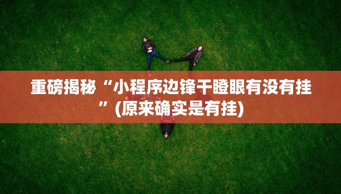 开挂辅助工具“科乐填大坑透视软件”详细开挂教程