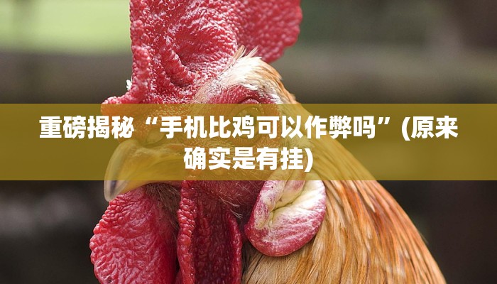 教程辅助“情怀麻将开挂必赢神器(透视)!详细教程透视方法