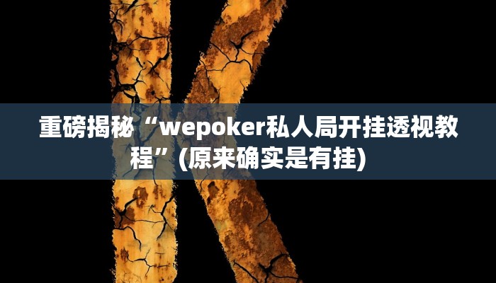 实测辅助”德州WePOker透视软件”(详细开挂教程)