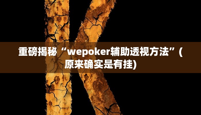 实测辅助”wepoker开挂作弊教程”(详细开挂教程)