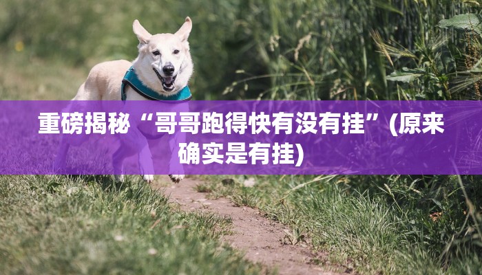 实测辅助”友友联盟有透视挂吗”(详细开挂教程)