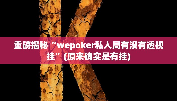 实测辅助”wepoker有透视”(详细开挂教程)