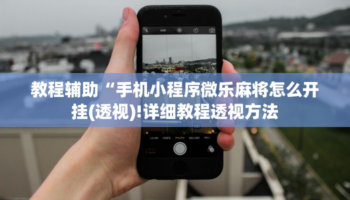 实测辅助”榆林打锅子开挂神器”(详细开挂教程)