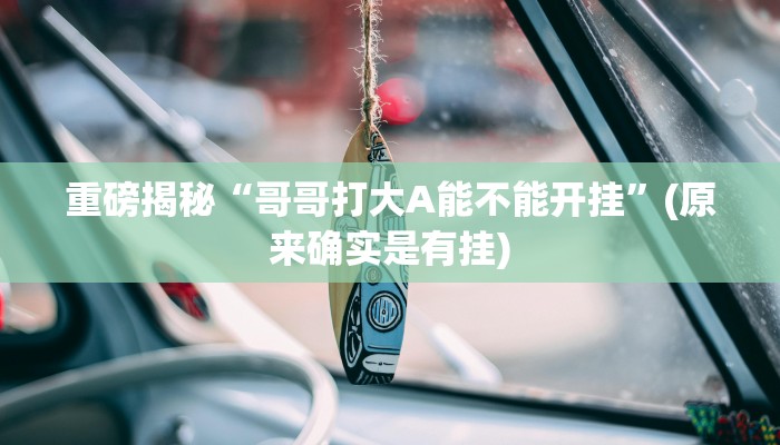 开挂辅助工具“阿拉斗牌可以开挂吗”详细开挂教程