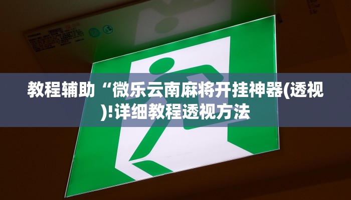 实测辅助”WepoKer有没有辅助透视挂”(详细开挂教程)
