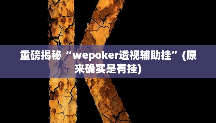 实测辅助”博乐填大坑挂下载”(详细开挂教程)