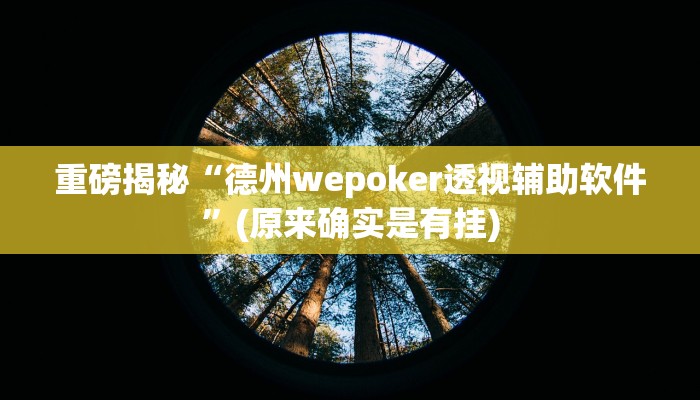 实测辅助”德扑圈透视方法”(详细开挂教程)