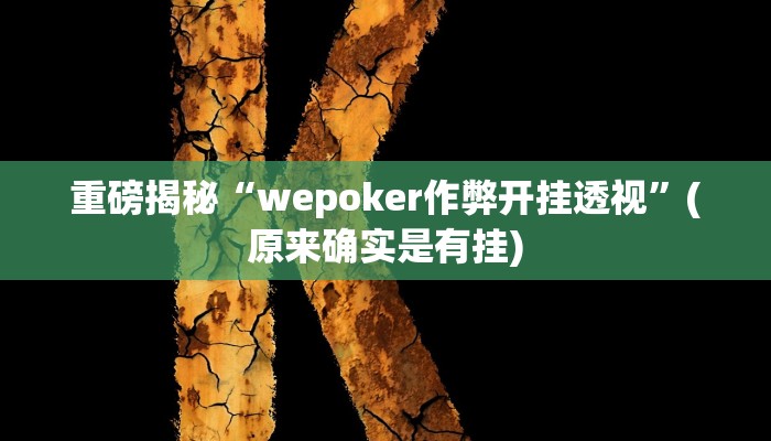 实测辅助”wePOker轻量版透视挂使用教程”(详细开挂教程)