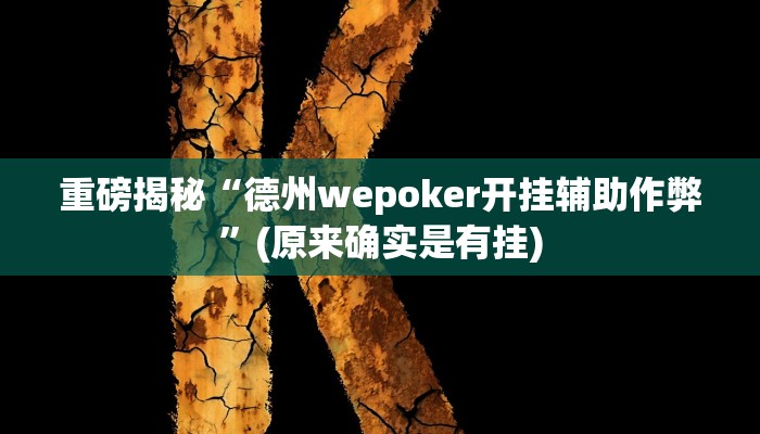 实测辅助”德扑之星可以开挂透视的”(详细开挂教程)