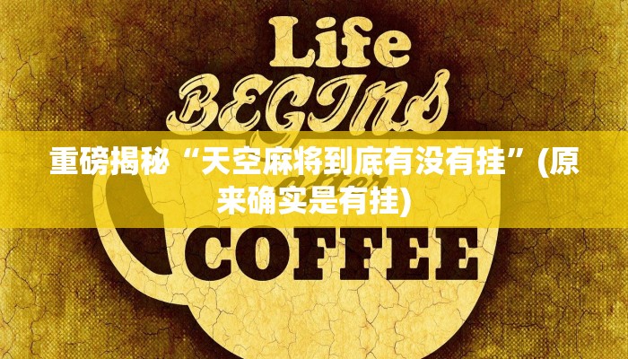 实测辅助”HHPoKer辅助透视挂教程”(详细开挂教程)