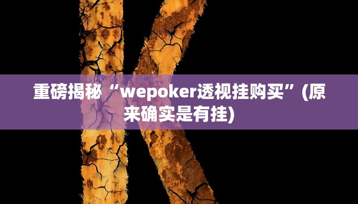 重磅揭秘“wepoker透视挂购买”(原来确实是有挂)