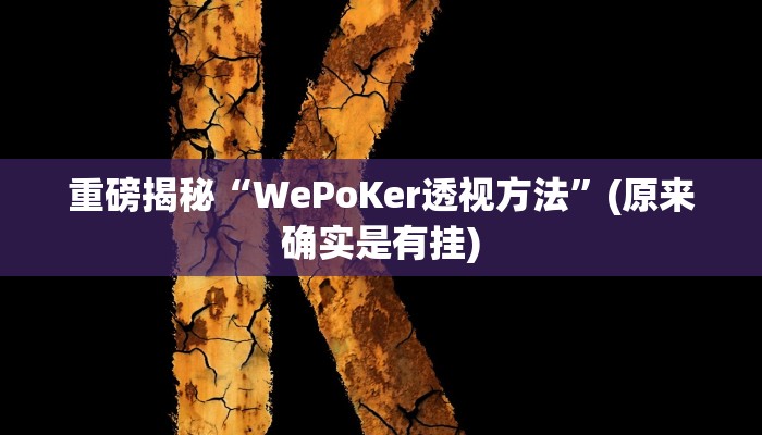 实测辅助”wepoker德州局辅助挂软件”(详细开挂教程)