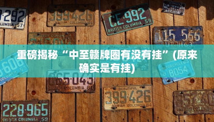 教程辅助“胡乐邯郸麻将免费挂(透视)!详细教程透视方法