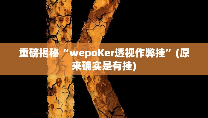 实测辅助”wepoker透视挂到底是真的假的”(详细开挂教程)