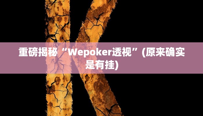 实测辅助”德扑之星辅助透视挂教程”(详细开挂教程)