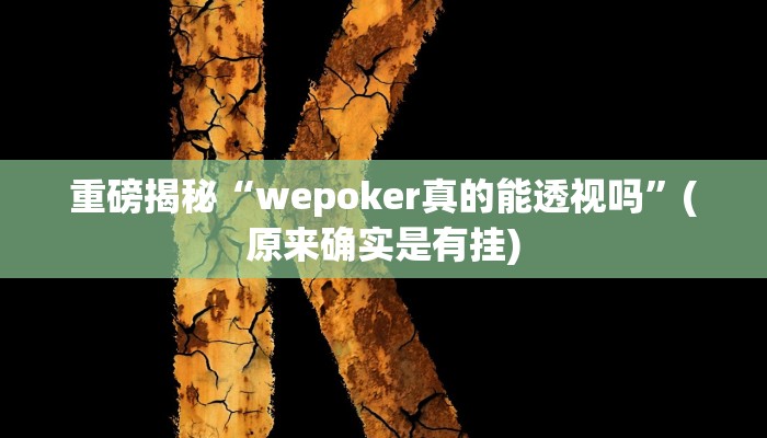 实测辅助”德扑之星有透视开挂吗”(详细开挂教程)