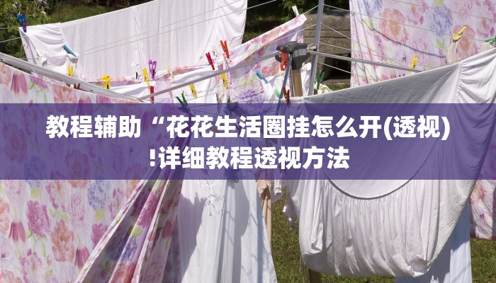 教程辅助“花花生活圈挂怎么开(透视)!详细教程透视方法