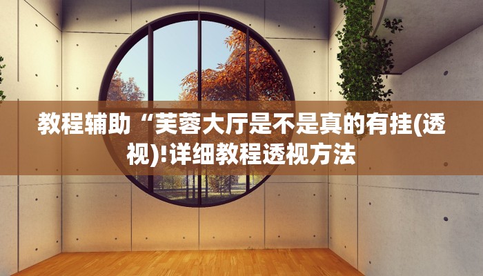 实测辅助”HHpoker有没有辅助透视挂”(详细开挂教程)