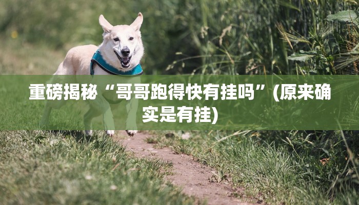 重磅揭秘“同城游打拱刷银子辅助下载”(原来确实是有挂)