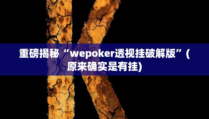 实测辅助”WePoker辅助挂透视软件”(详细开挂教程)