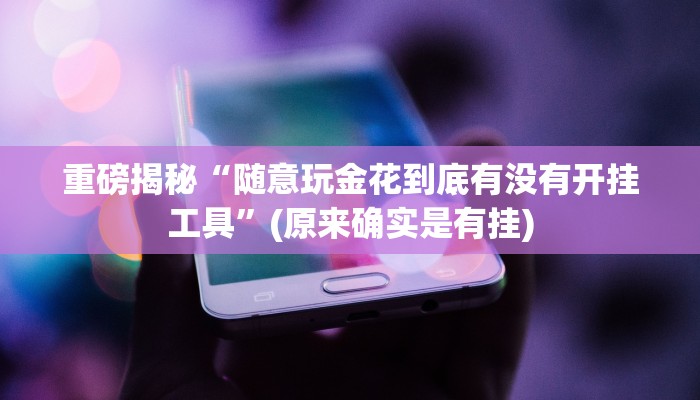 实测辅助”WePoker作弊辅助”(详细开挂教程)