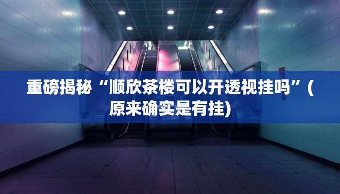 开挂辅助工具“新八戒怎么开挂”详细开挂教程
