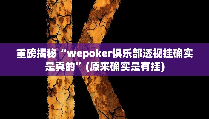 实测辅助”Wepoker开挂透视作弊挂”(详细开挂教程)