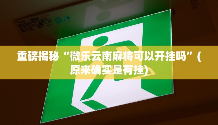 实测辅助”HHpoker有透视吗可以挂”(详细开挂教程)