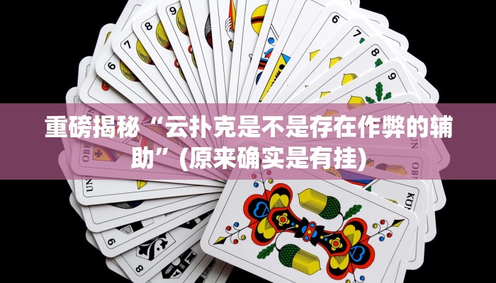 实测辅助”hhpoker作弊辅助挂”(详细开挂教程)