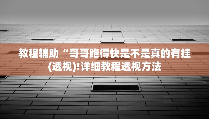 教程辅助“wepokerplus作弊详细(透视)!详细教程透视方法