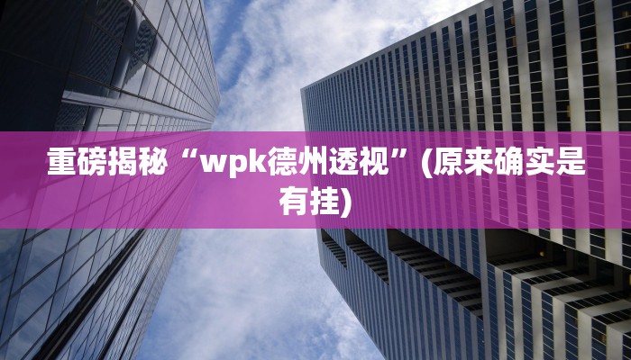 实测辅助”WePoKer开挂透视教程”(详细开挂教程)