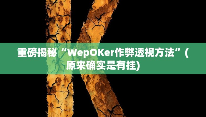 实测辅助”wepoker德州辅助软件作弊”(详细开挂教程)