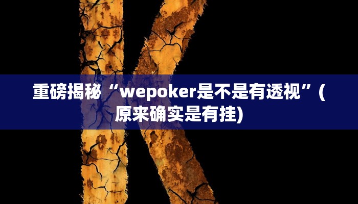 教程辅助“微乐陕西麻将必赢神器(透视)!详细教程透视方法
