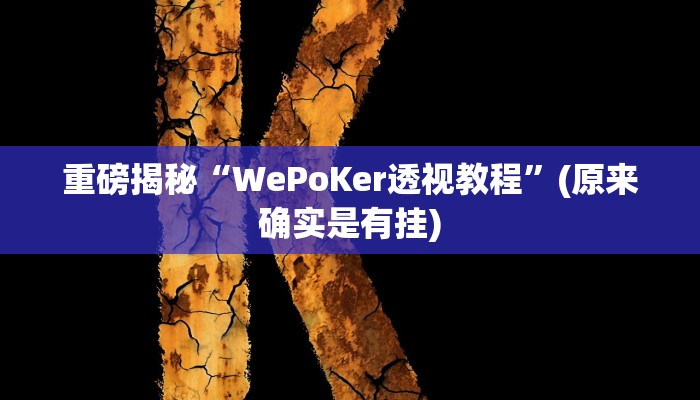 实测辅助”wepoker作弊论坛”(详细开挂教程)