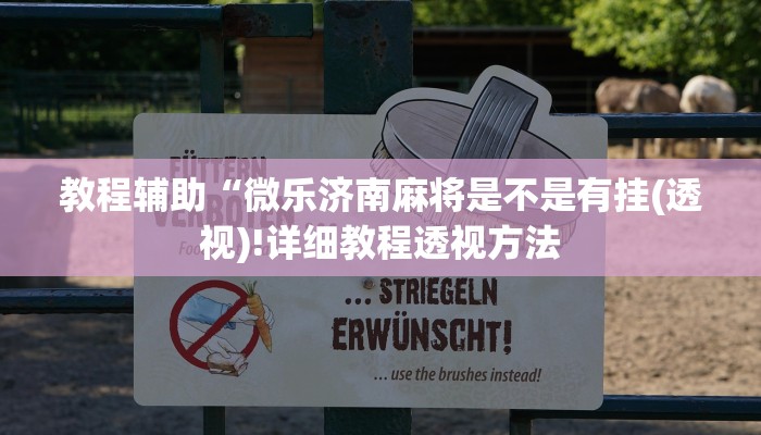 实测辅助”德扑圈辅助软件”(详细开挂教程)