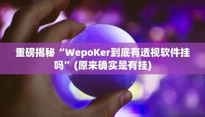 实测辅助”wepoker轻量版透视挂”(详细开挂教程)