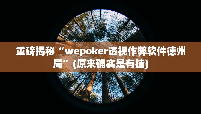 实测辅助”哥哥杭州麻将辅助怎么开挂”其实确实有挂