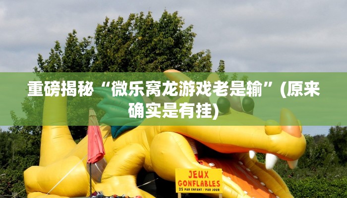 辅助神器“决战十三水开挂神器”其实确实有挂