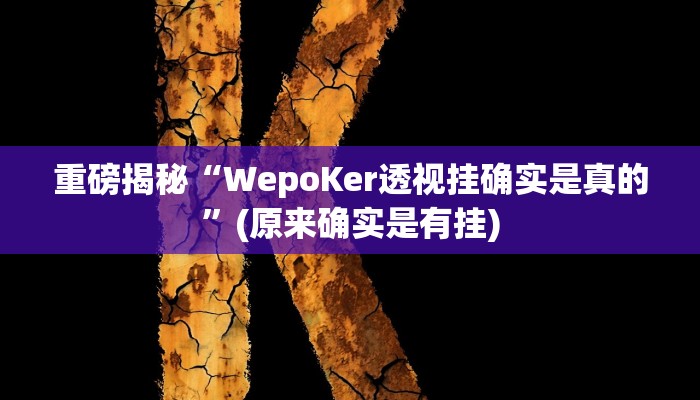 实测辅助”指尖四川麻将确实有开挂辅助”(详细开挂教程)