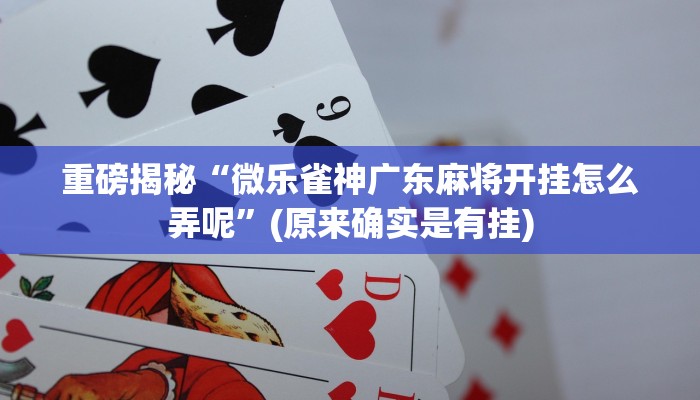实测辅助”德州局WePoker透视挂破解版”(详细开挂教程)