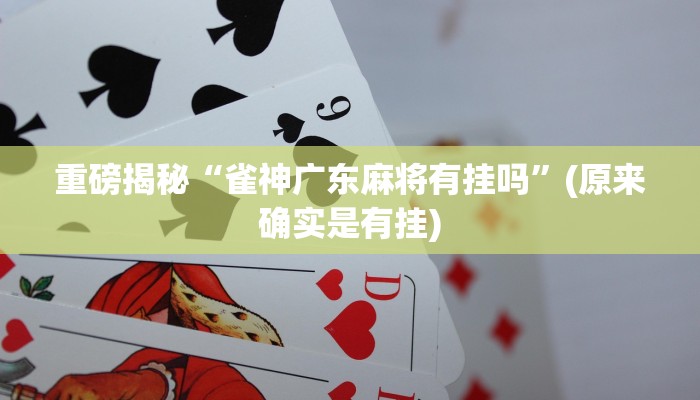 实测辅助”开心联盟开挂神器”详细开挂教程