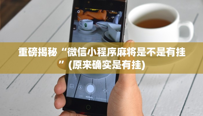 教程辅助“闽南漳州麻将可以开挂吗(透视)!详细教程透视方法