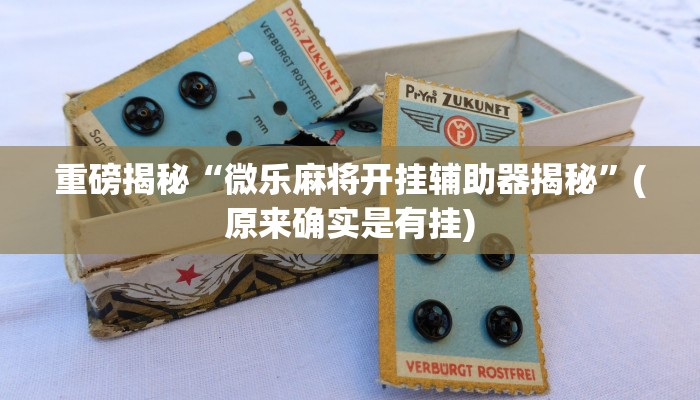 辅助神器“起点休闲辅助神器”详细开挂教程