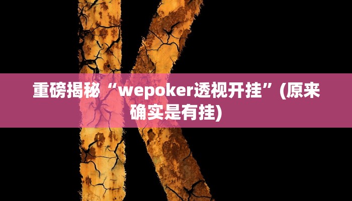 实测辅助”哥哥杭州麻将有挂没”(详细开挂教程)
