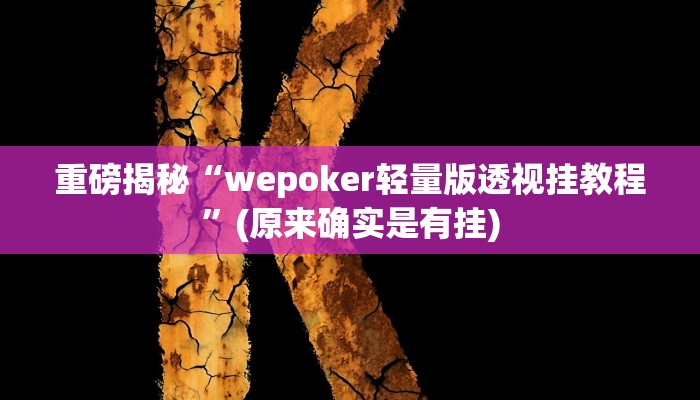 实测辅助”WePoker透视软件挂”(详细开挂教程)