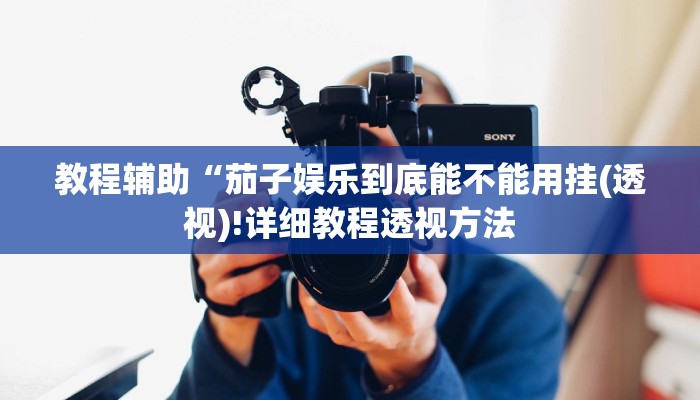 教程辅助“德州wpk作弊透视(透视)!详细教程透视方法