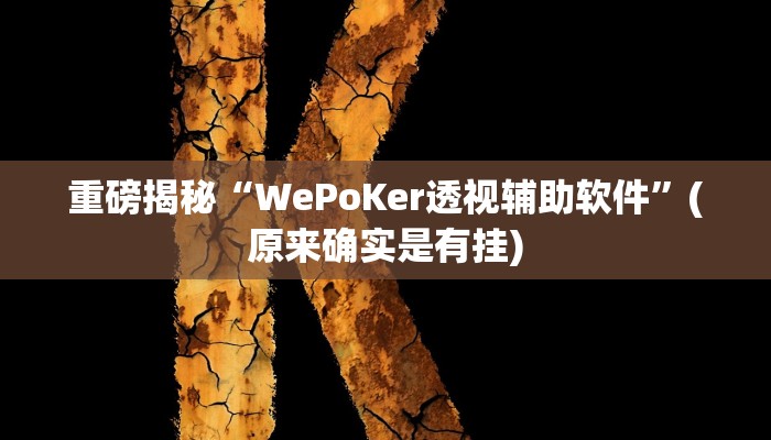 实测辅助”德扑圈透视挂辅助软件”(详细开挂教程)