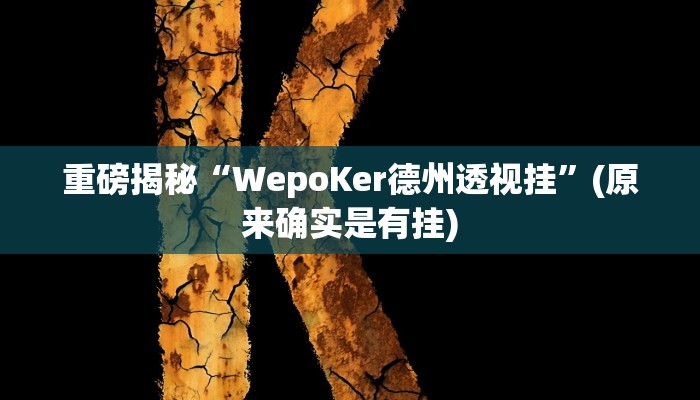辅助神器“椰岛常胜游戏辅助器”详细开挂教程