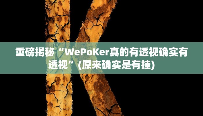 实测辅助”wePoker有透视挂吗”(详细开挂教程)